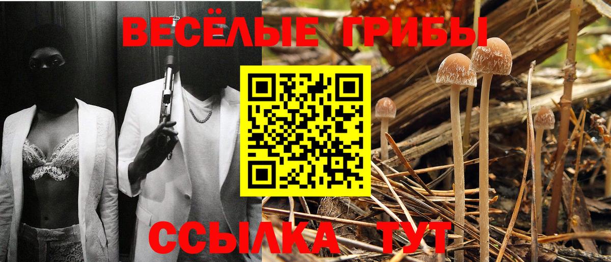 Галлюциногенные грибы прущие грибы Сертолово